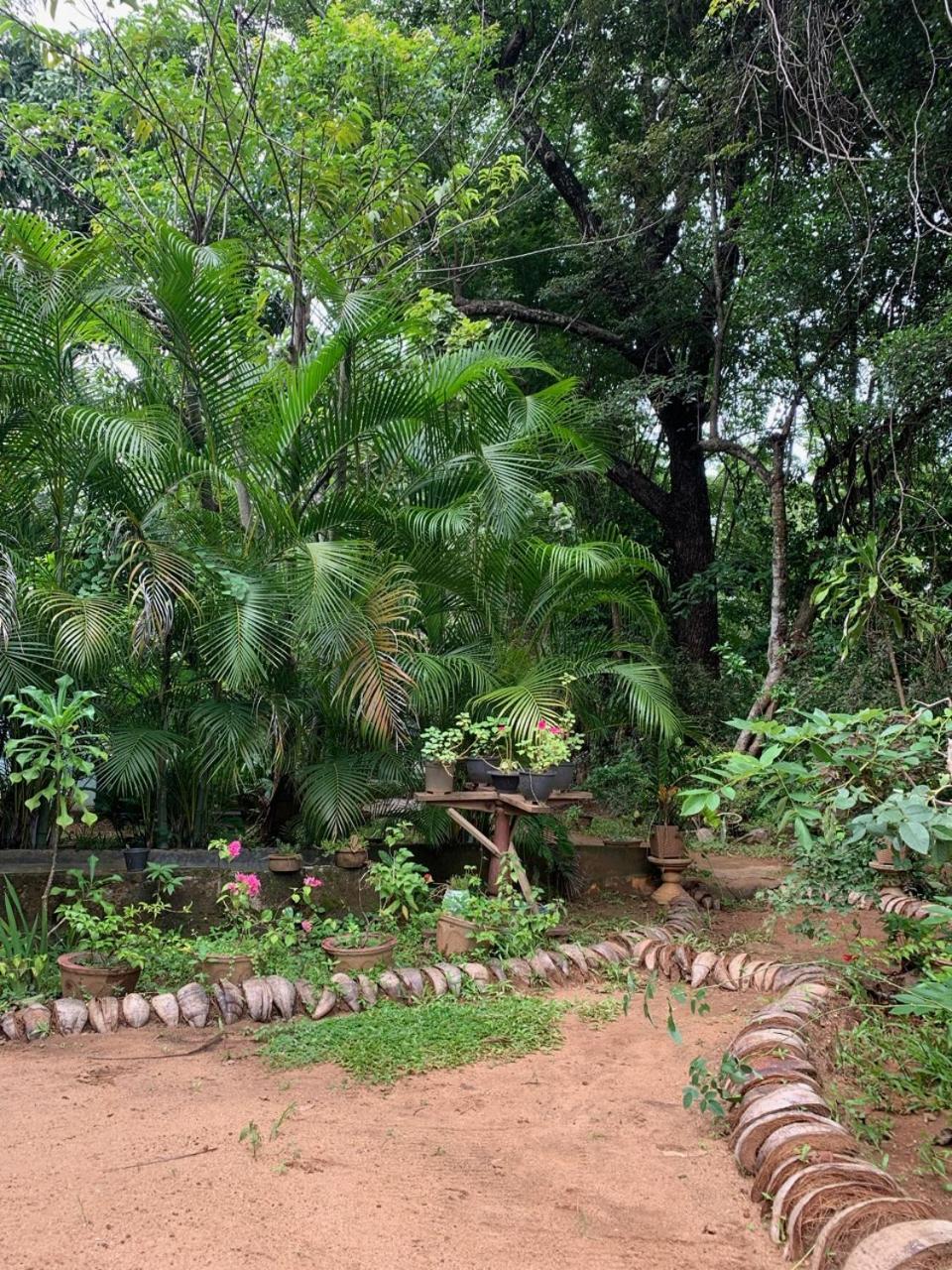 Manju Homestay 锡吉里亚 外观 照片