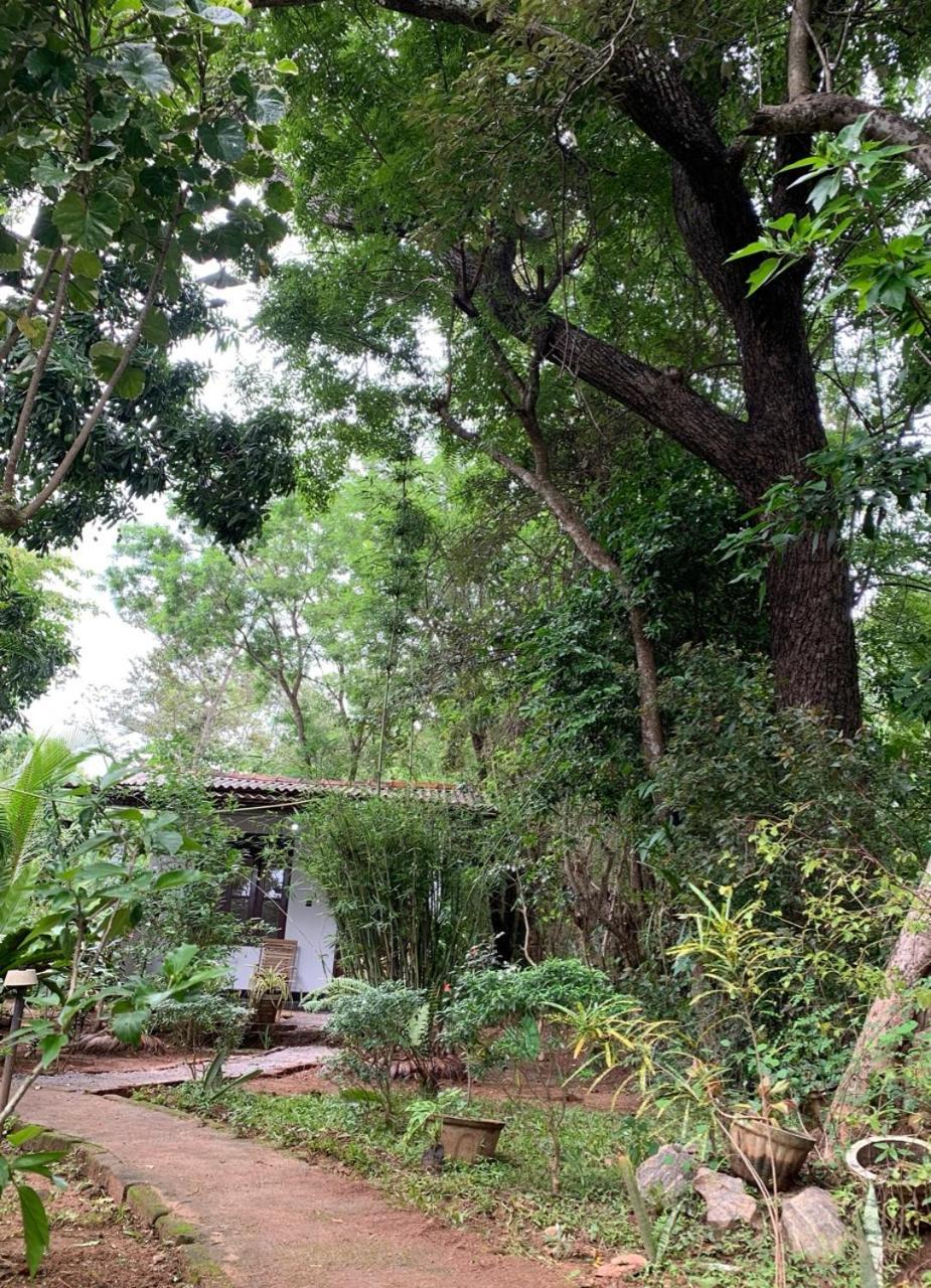 Manju Homestay 锡吉里亚 外观 照片