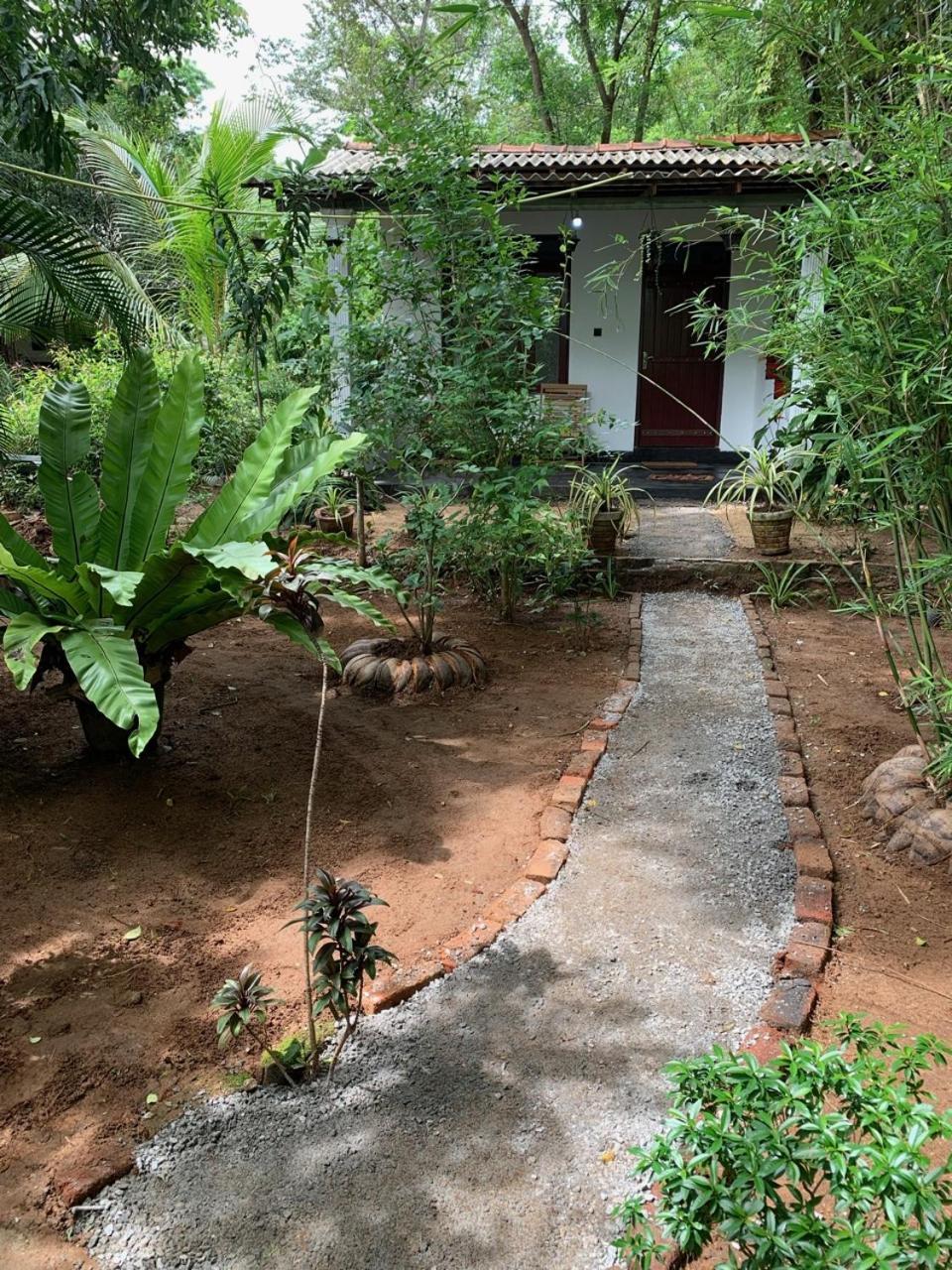 Manju Homestay 锡吉里亚 外观 照片