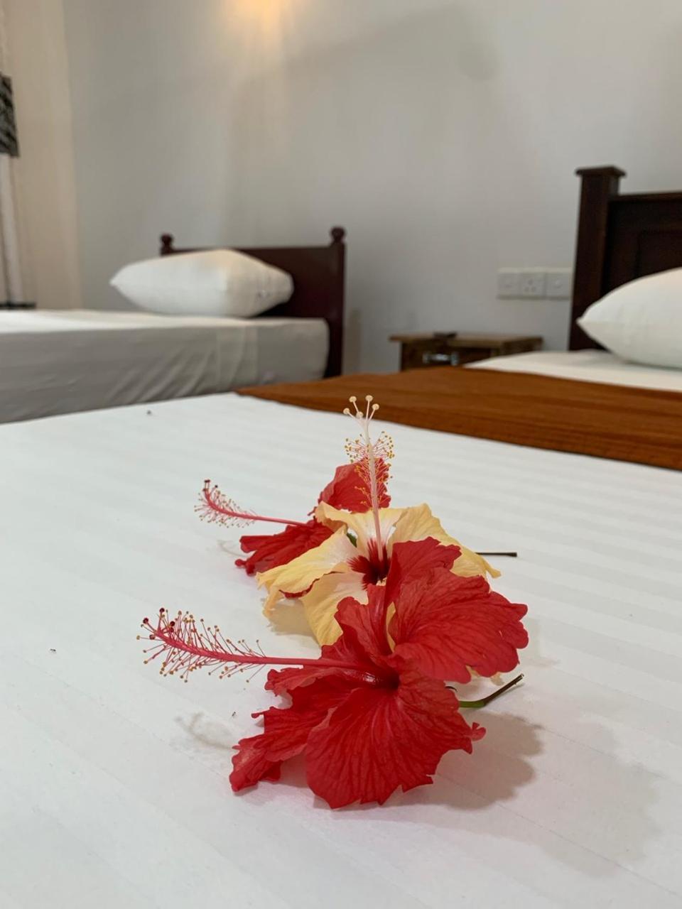 Manju Homestay 锡吉里亚 外观 照片