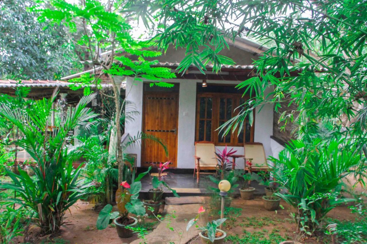 Manju Homestay 锡吉里亚 外观 照片