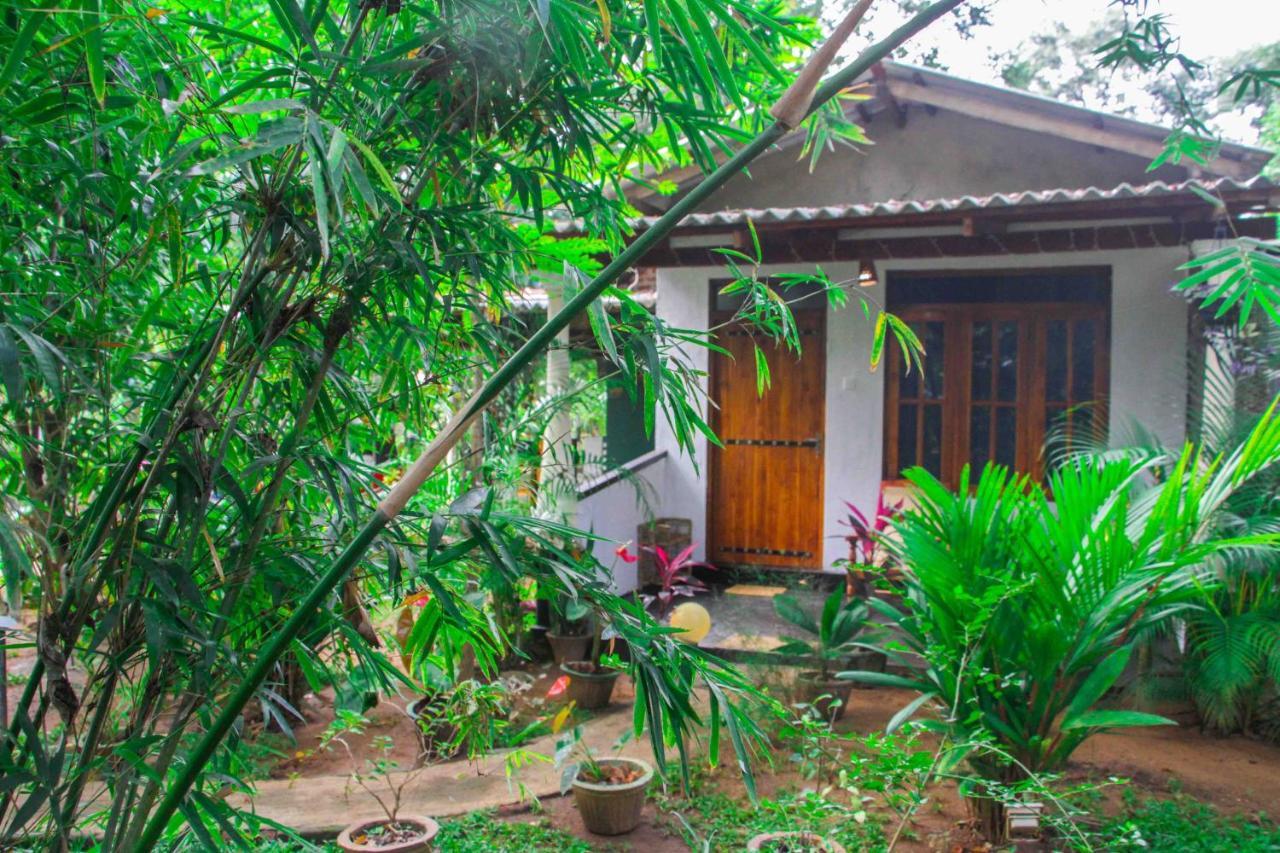 Manju Homestay 锡吉里亚 外观 照片