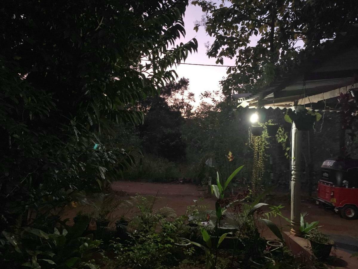 Manju Homestay 锡吉里亚 外观 照片